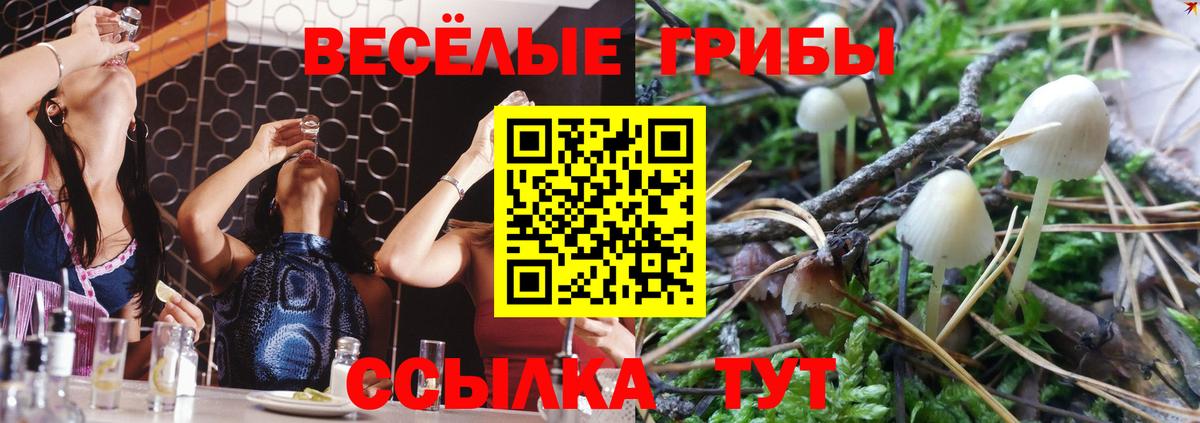 Псилоцибиновые грибы GOLDEN TEACHER  Псилоцибиновые грибы ЛСД  Урай  Вход с VPN 